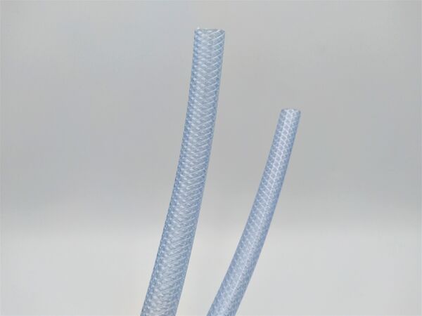 Slangen kopen in Alkmaar bij Postma en Postma