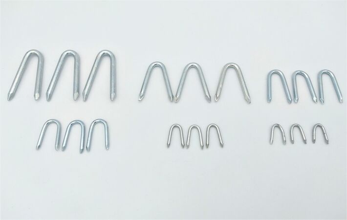 Krammen kopen in Alkmaar bij Postma en Postma