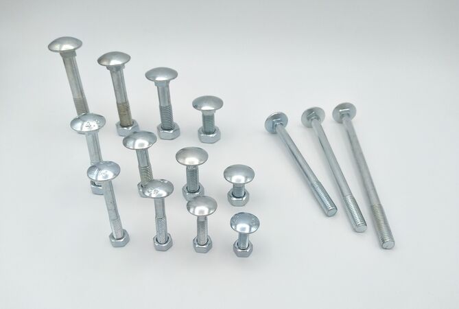 Śruby powozowe kopen in Alkmaar bij Postma en Postma