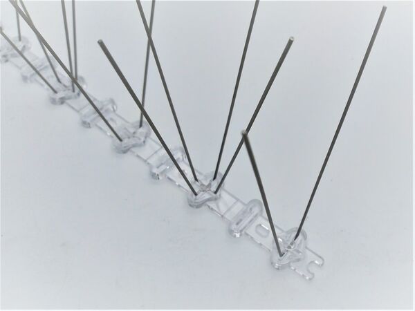 Duivenpinnen kopen in Alkmaar bij Postma en Postma